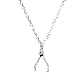Tiny Sterling Silver Charm Necklace | Multiple Options Available | Minimalist Jewelry for Women and Girls (Tiny Wishbone)