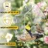 Premium Window Bird Feeder for Outside - Clear Bird House