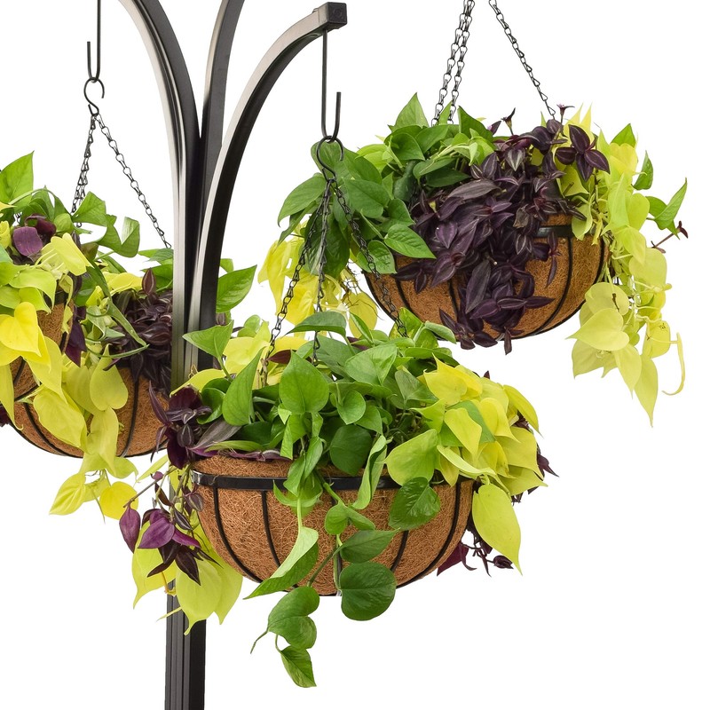 Arcadia Garden Products Coconut Basket Hanging Garden Tree