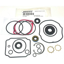 Hydro-Gear Genuine Original 70525 BDP-10A Pump Overhaul Seal Kit with Seals & Gaskets