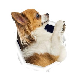 Chihuahua Autoaufkleber, Lustige Hund 3D Durchbruch Aufkleber für Auto, Laptop, Kühlschrank, Wasserdicht Aufkleber (15cm/5.9 Inch)