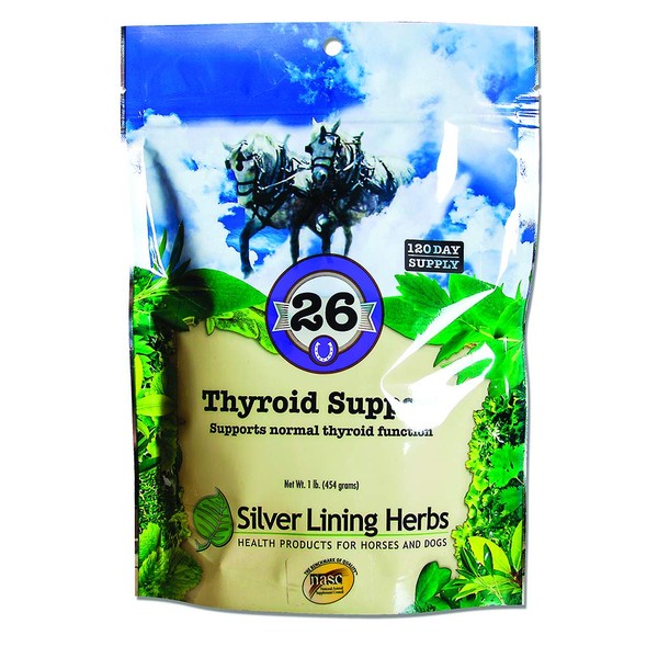 Silver Lining Herbs 26 Thyroid Support – Supports Normal Horse Thyroid Function - Helps to Balance Hormones and Normalize Metabolic Functions - Herbal Horse Supplements - 1 lb Bag