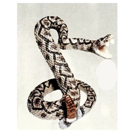 Arizona Diamond Rattlesnake Sculpture 7 1/2  inches Tall Looks Very Real