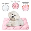 Dog Cooling Mat, Premium Lightweight Pet Cooling Blanket Bed Cover