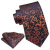 HISDERN Floral Paisley Wedding Tie Handkerchief Men's Necktie & Pocket