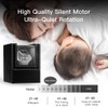 Automatic Single Watch Winder with Quiet Japanese Motor,AC Adapter or
