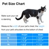CEESC Cat Flap, Magnetic Pet Door with Rotary 4 Way