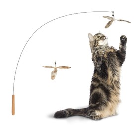 FUKUMARU Cat Toy Replacement Bell and Feather Set