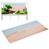 Fish Tank Background Picture PVC Self Adhesive 3D Effect Aquarium