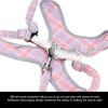 Dog Harness Leash Set Pet Reflective Training Vest Adjustable Chest