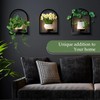 Vexercisehoop 2 Pack Wall Planter for Indoor Plants, Metal Framed