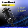 AutoShack Rear Complete Strut & Coil Spring | Replacement for