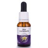 Living Essences Blue Leschenaultia Flower Essence 15 ml