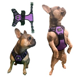Funny Fur Grace - Purple Adjustable Heavy Duty Escape-Proof Harness, No Pull Design - Ideal for Small Dogs - S Size #funnyfurgrace (Small)