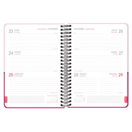 Dohe - A5 Academic Diary 2023-2024 - Week to View - Pink - DUO
