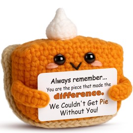 Ovrrcame Crochet Appreciation Pumpkin Pie - Farewell Gifts for Coworkers, Bosses, Employees, Volunteers, Teachers, Mini Fall Office Decor for Leaving, Going Away, New Beginning, Retirement, Thank You