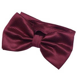DonDon Men's Bow Tie 12 x 6 cm with Hook Fastener and Adjustable Size for Special Occasions -