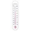 EAI Education Dual Scale Large Classroom Thermometer