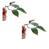 Rosojodg 2Pcs Betta Fish Leaf Pad,Plastic Plant Betta Hammock Leaf