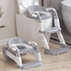 2-in-1 Toddler Potty Training Toilet Seat with Step Stool Ladder
