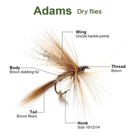 YZD Fly Fishing Big Trout Flies Kit Top 12 Steelhead Flies Flyfishing Gear Premium Wet Dry Flies Trout Lures Streamer Nymph Emerger Fishing Assorted Trout Flies Bass Salmon