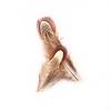 100 pcs Natural Pheasant Plumage Feathers 2-3 Inches Plumage Feathers