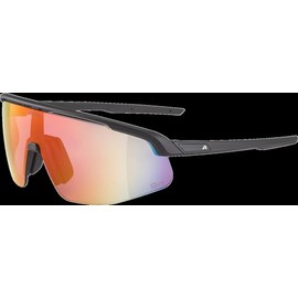 ALPINA Turbo Pro Q-Lite Sports Glasses for Adults, Matte Black, One Size, 100% UV-A, UV-B and UV-C Protection