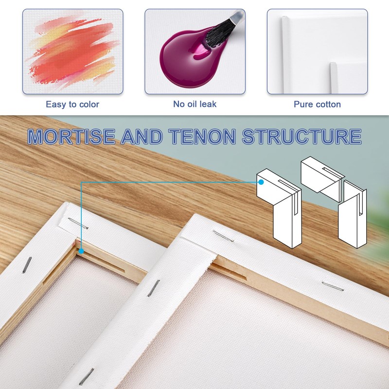 Kigniote Canvas Set 6 PCS Canvas for Painting 20 x