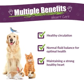 Amber NaturalZ Hawthorn & Dandelion Herbal Supplement for Dogs, Cats, Birds, Rabbits, and Guinea Pigs | Supports Heart Health, Circulation, and Fluid Balance | Natural Cardiovascular Care 4 FL Oz