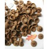 Red Oak 150 Natural Red Oak Acorn caps. APPROX. SIZE