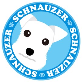 Stare Schnauzer White Dog Sticker Blue Back Round Large Size MK-2