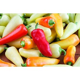 Santa Fe Grande Pepper Seeds - 100 Count Seed Pack - Non-GMO - A sweet, mild, somewhat smoky pepper used in salsas, sauces, salads and much more. - Country Creek LLC