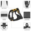 Reflective Vest Harness Autumn Sunflowers Adjustable No Pull Pet Harness