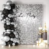 Decoration Panels Cokaobe Silver Shimmer Wall Backdrop X24