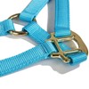 Intrepid International Nylon Miniature Horse Halter, Light Blue, Large