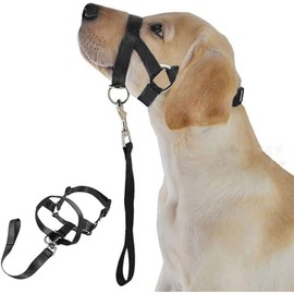 WUDQIJI Training Harness Dog Halter Pet Muzzle for Dogs Muzzle Dog Training Muzzle Dog Muzzle Black Dog Mouth Guard Training Holder Prevents Barking Biting and Chewing (XL)