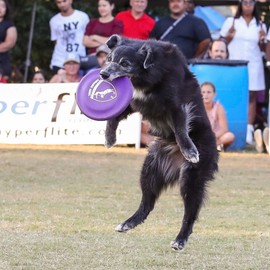 Hyperflite K-10 Hyperflex Disc • for Dogs Over 16" • 8.75 Inch / 155 Grams • Ultra Flexible • Puncture Resistant • Made in The USA