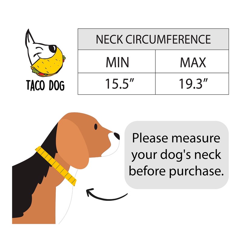 Taco Dog, Double Layer Dog Collar Handmade from Thick Full