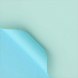 20PCS Bouquet Wrapping,58 * 58CM Flower Bouquet Wrapping Paper,Double-sided Waterproof Pearl Film Wrapping Paper for Flower,Gift [Ice blue+Light blue]