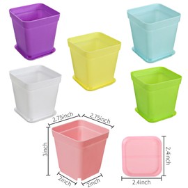 EDOBLUE 24 PCS Colorful Square Plastic Flowerpots, Succulent Planting Tools with Trays, Suitable for Decorating Your Rooms, Gardens, Offices and Balconies