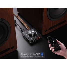 DAMGOO Mini Bluetooth Amplifier 50W+50W Dual Channel Stereo Power Output,DC 12V, Bluetooth+ AUX+ USB Input