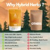Hybrid Herbs HYBRID HERBS - Pine Pollen Powder (113g) -