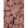 SuperMoss 25126 Reindeer Mosss Preserved, 80.75 Cubic inch (in3) Bag