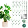 Honeydak 18 Pack Monstera Plant Support Plant Support Stakes for