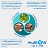 Health4All Load Off Adaptogen Complex 120 Capsules 2 Months Supply,