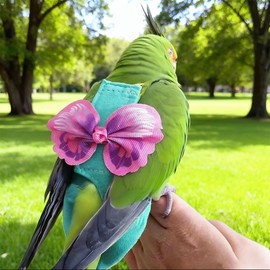 CELONROMF Escape-Proof Parrot Harness & Leash Set with Diaper - Adjustable Flight Suit with Bow & Safety Cord for Conures, African Grey, Parakeets, Doves (Pink-L)