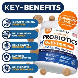UD Probiotics Dog Supplement 170 Chews Digestive Enzymes Prebiotics for Gut Health Constipation Relief Itchy Skin Allergies