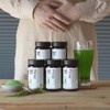 Correct Habits Organic Freeze-Dried Barley Sprout Powder 50g / 올바른습관