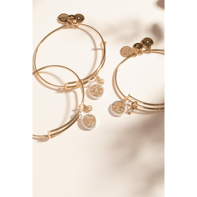 Alex and Ani Zodiac Bangle