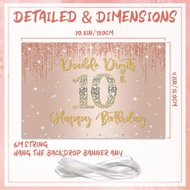 10th Birthday Decorations Girls - Rose Gold Double Digits Banner Happy 10th Birthday Backdrop Banner 180 x 120cm Age 10 Birthday Supplies Decor 10 Year Old Photo Backdrop